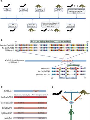 Next-Generation Sequencing Reveals the Progression of COVID-19